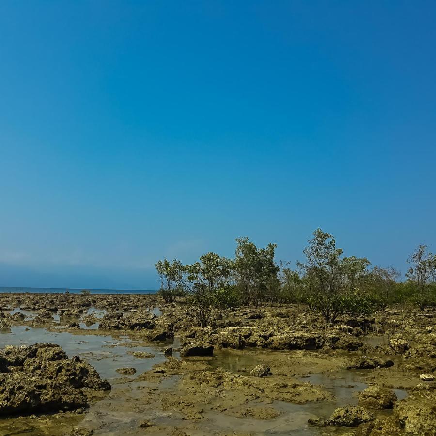 באלר Seasta Beach Resort מראה חיצוני תמונה
